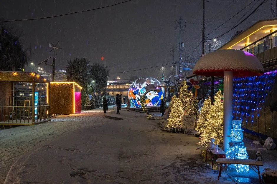 2025 관악별빛산책 5