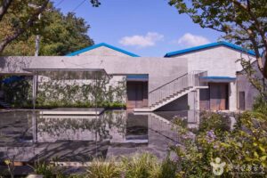 F1963 Travel Guide: Tips & Highlights