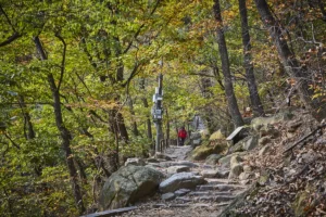 Planning a Trip to Bukhansan National Park (Seoul District) (북한산국립공원(서울))? Read This First