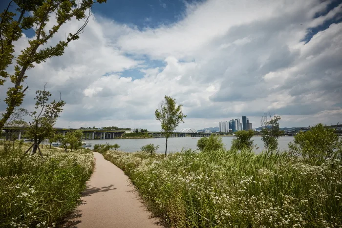 한국문화정보원_양화한강공원 3