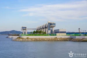 What Surprised Me Most About Dangjin Sapgyoho Lake (당진 삽교호)