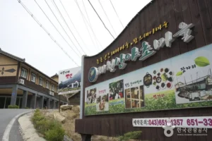 Jecheon Wild Herb Village (제천 산야초마을) Without the Tourist Traps: A Real Guide
