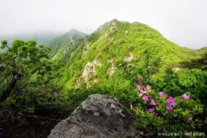 Gyeryongsan National Park (계룡산국립공원): What to See and How to Get There