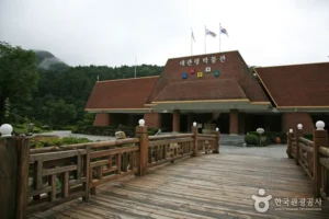 What to Expect at Daegwallyeong Museum (대관령박물관): Art and History Guide
