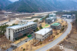 Thinking About Manhae Village (만해마을)? Here Is the Real Deal