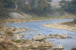 How Geumdanggyegok Valley (금당계곡) Compares to Other Spots Nearby