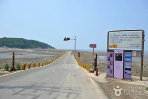 Jamjindo Island (잠진도) Without the Tourist Traps: A Real Guide