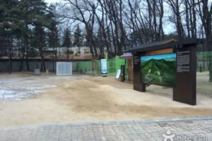 I Visited Heolleung and Illeung Royal Tombs [UNESCO World Heritage] (서울 헌릉(태종,원경왕후)과 인릉(순조,순원왕후) [유네스코 세계문화유산]) and Here Is What I Found