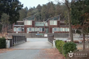 Is Namhae Pyeonbaek National Recreational Forest (국립 남해편백자연휴양림) Worth Visiting? A Local Perspective
