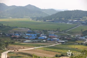 How Bigeumdo Island (비금도) Compares to Other Spots Nearby