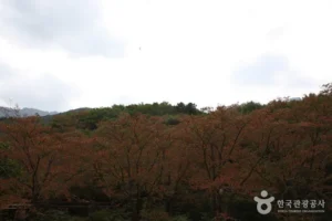 Sinbulsan County Park (신불산군립공원) on a Budget: Can You Do It Cheaply?