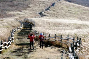 Why Locals Love Ganwolsan Mountain (간월산) (And Why You Might Too)