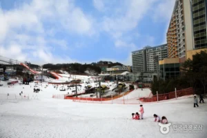 Planning Active Fun at Welli Hilli Park Snow Park (웰리힐리파크 스노우파크)