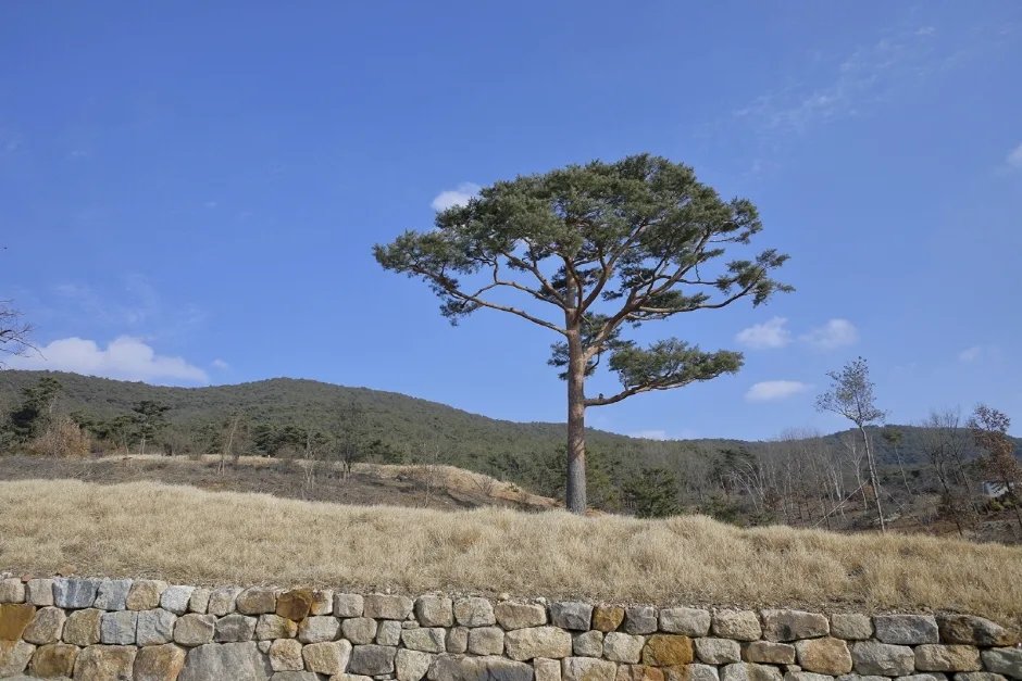 정충사 (7)