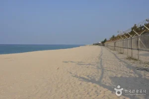 Skip the Hype: What Yeongokhaebyeon Beach (Yeongok Beach) (연곡해변(연곡해수욕장)) Is Really Like