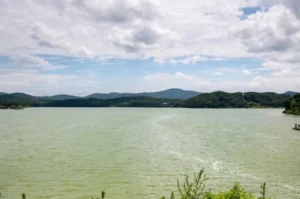 What Makes Gosam Reservoir (고삼저수지) Special for Travelers