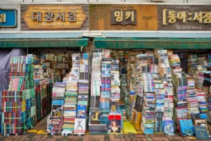 Cheonggyecheon Old Books Street (청계천헌책방거리): My Honest Take After Spending a Day There