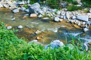 Planning a Trip to Sangchongyegok Valley (상촌계곡)? Read This First