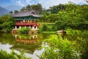 Sangdaepo (상대포) Travel Guide: Honest Review and Tips