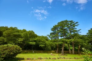 Why Locals Love Ara-dong History and Culture Trail (아라동 역사문화탐방로) (And Why You Might Too)
